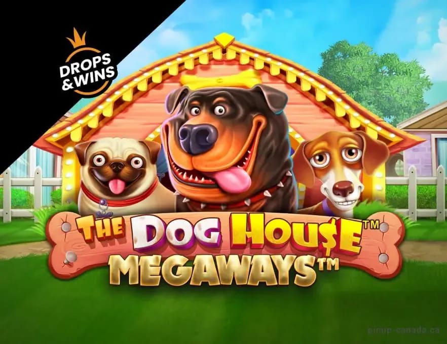 Gambling info site - Sunrise Casino (Gallery 1-15)